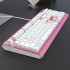 Heijue DKM800 Mechanical Keyboard Gaming Keyboard Side Engraved Keycap Alloy Panel Multimedia Knob RGB Light Effect